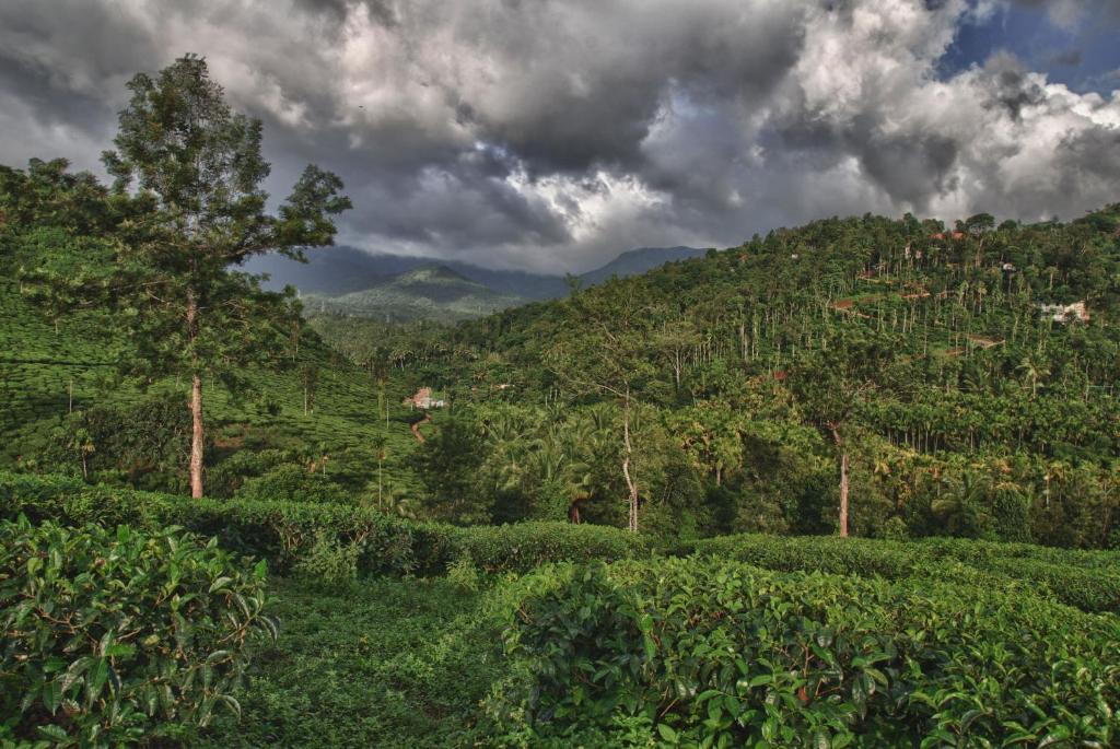 The Windflower Resort & Spa, Vythiri Wayanad Exteriér fotografie