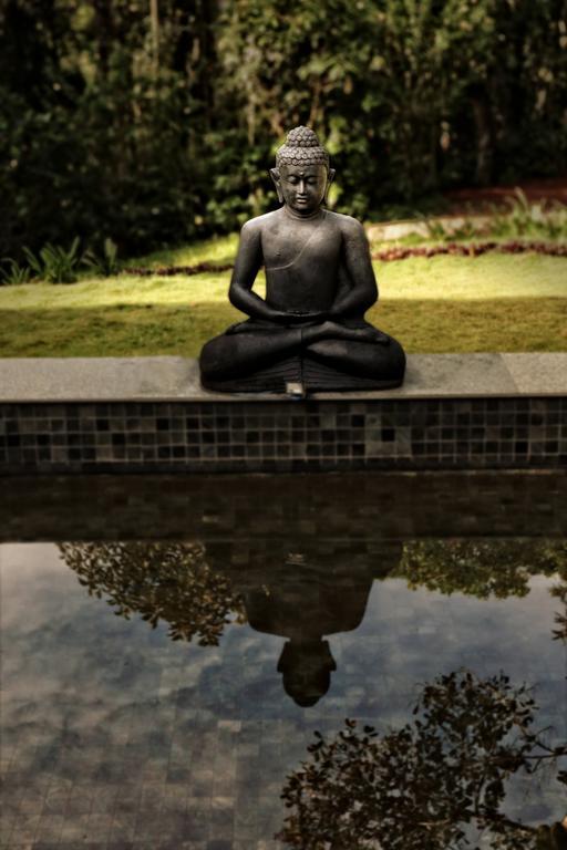 The Windflower Resort & Spa, Vythiri Wayanad Exteriér fotografie